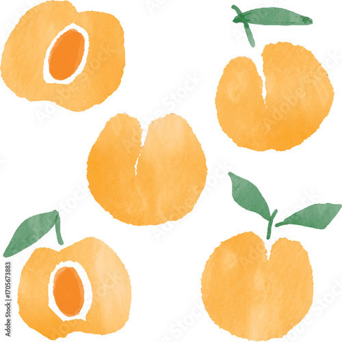 watercolor peaches illustration art set