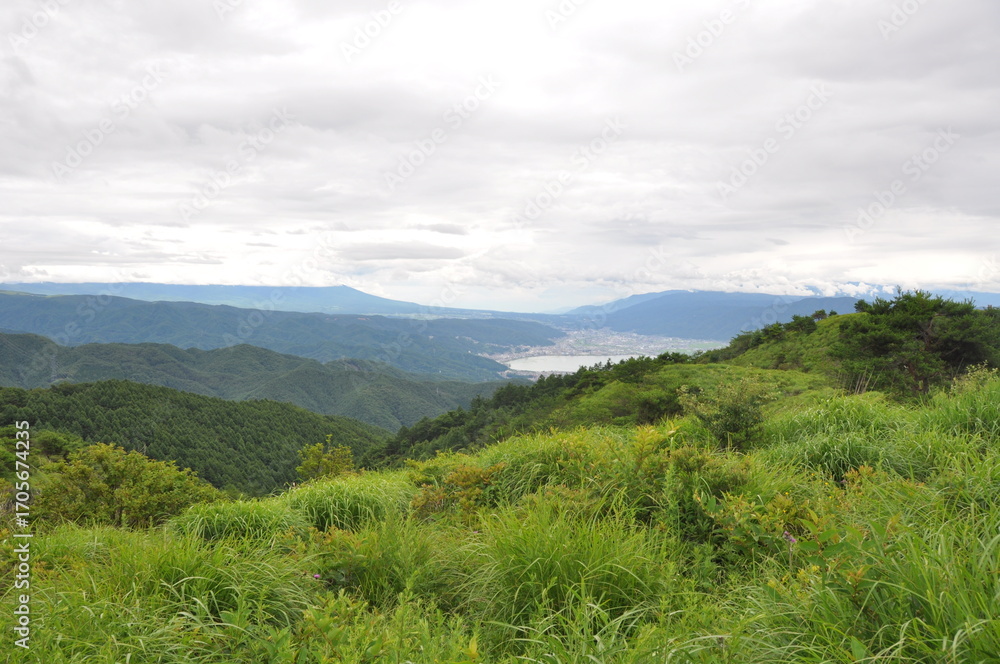 Naklejka premium 草原