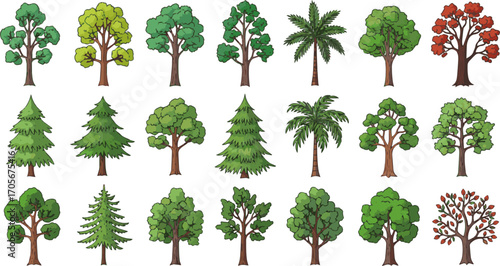 Create a kinds of deferent Hand drawn colorful tree illustration collection vector art with white background.