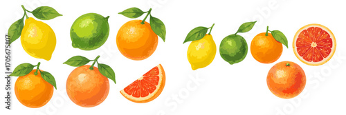 Vibrant collection of fresh citrus fruits including whole lemons limes oranges and sliced grapefruits with green leaves