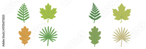 Collection of diverse green and brown leaves representing various tree and plant species found in nature