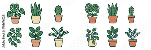 Diverse selection of potted houseplants and succulents, perfect for modern interior design, home decoration, and botanical themes