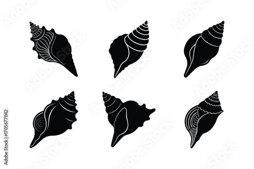 conch shell bundle set linocut style silhouette vector illustration on white background