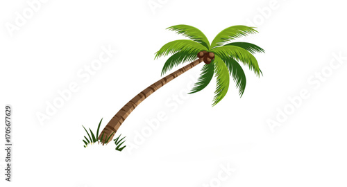 Coconut trees on the beach 