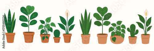Collection of diverse potted houseplants including snake plant, peace lily, cactus, and fiddle leaf fig