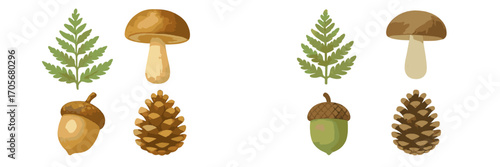 Collection of forest nature elements featuring green fern leaves, edible mushrooms, ripe acorns, and textured pine cones