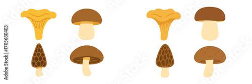 Assortment of popular edible wild mushrooms such as golden chanterelle, brown porcini, and distinctive morel fungi