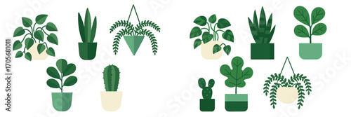 Collection of diverse potted houseplants and hanging plants with lush green leaves, perfect for modern home decoration and interior design projects