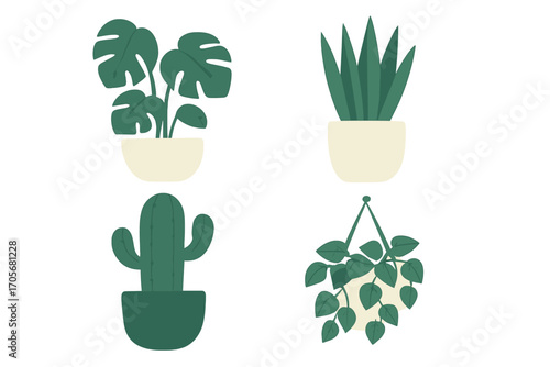 Stylized collection of popular potted houseplants and succulents, featuring monstera, aloe, cactus, and hanging foliage for interior design elements