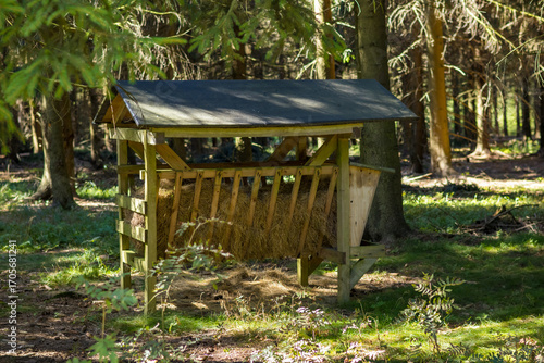 A wooden feeding station in a forest, surrounded by trees and greenery. The structure is simple, with a slanted roof and open sides for easy access.