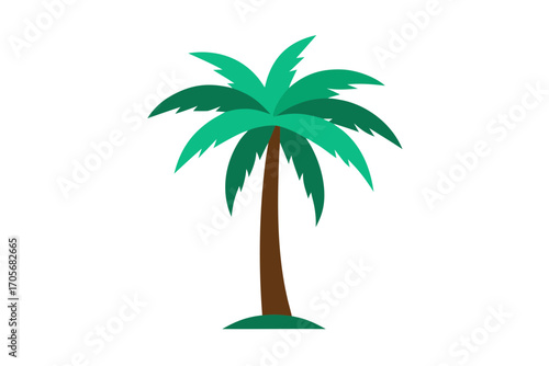palm tree on white background