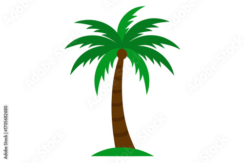a palm tree.