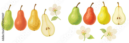 Vibrant collection of colorful pears, whole and halved with visible seeds, accompanied by delicate white pear blossoms, showcasing fresh natural produce