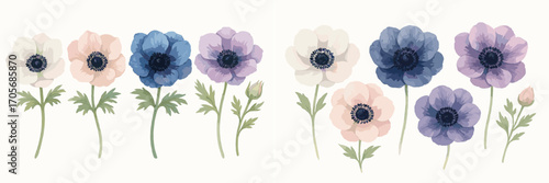 Beautiful collection of watercolor style anemone flowers in various pastel colors with green foliage and buds