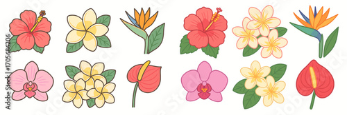 Vibrant collection of exotic tropical flowers including hibiscus, plumeria, orchid, bird of paradise, and anthurium blossoms