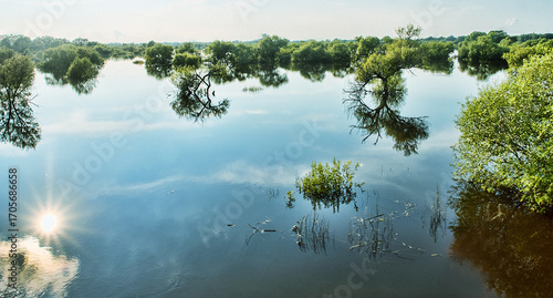 The Ussuri River. View from the bridge to the river. River front. Summer flooding due to continuous-rains, forest flooding