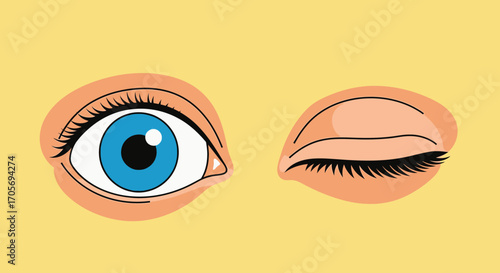 Close up of a blue eye and a winking eye with long eyelashes.