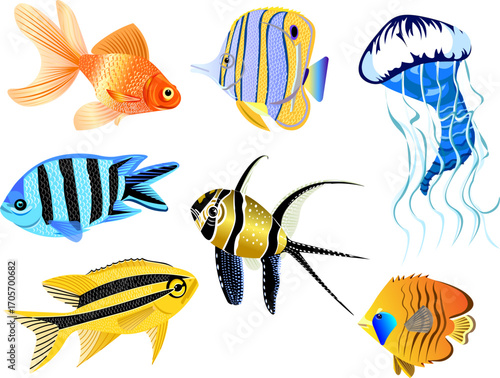 Sea and ocean fish
