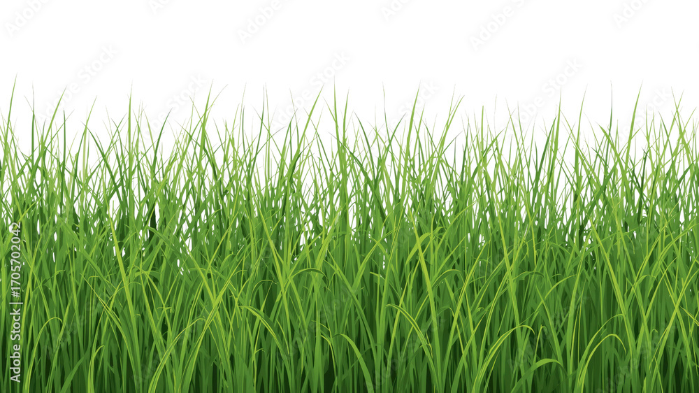 Obraz premium Lush Green Grass Seamless Texture - Nature Background