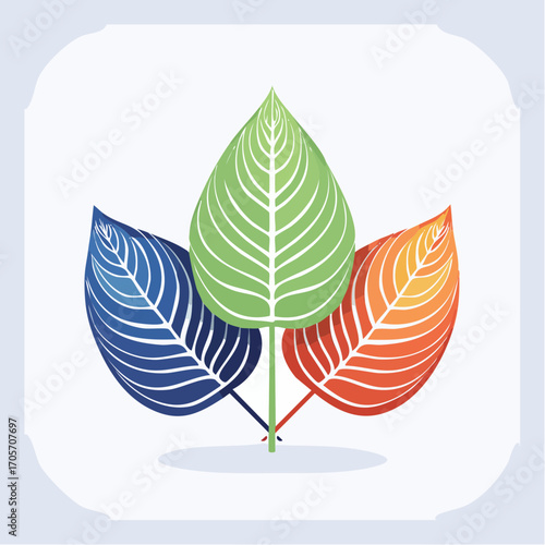Three Colorful Leaves With Detailed Veins On White Background
