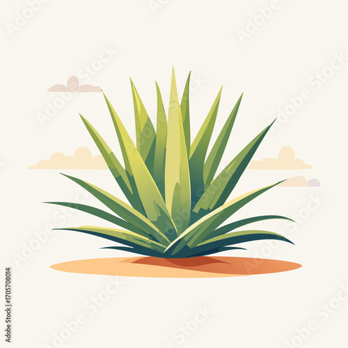 Green Agave Plant in Desert Landscape with Clouds