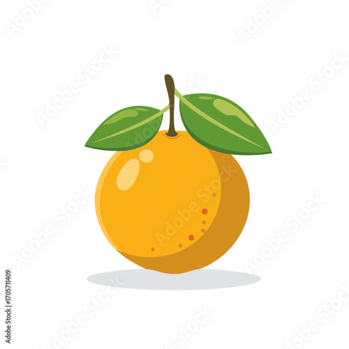 Fresh orange with green leaves illustration; stylized vector drawing of a citrus fruit, healthy snack