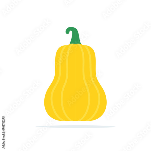 Isolated Butternut Squash Illustration, Minimalist Design, Fall Harvest Vegetable
