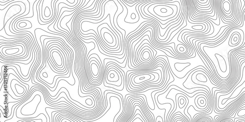 Abstract luxury topography contour map grid pattern backdrop background. Vector illustration. wave Line topography map contour background. Illustrations of maps Abstract Geometric.	
