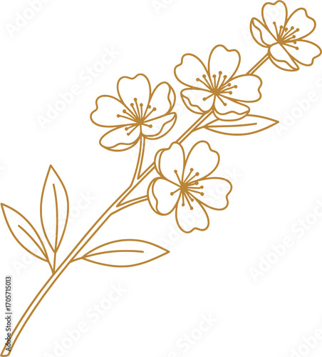 Elegant Line Drawing of Cherry Blossoms