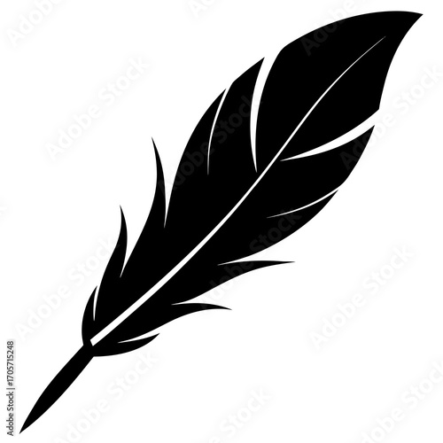 black and white silhouette of a single feather. 