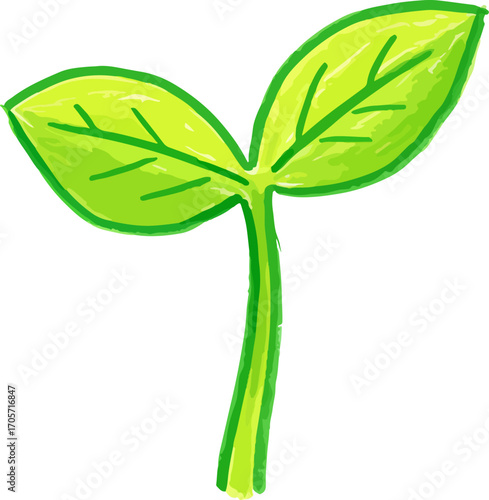 Handdrawn Fresh Sprout Illustration with Green Leaves and Stalk