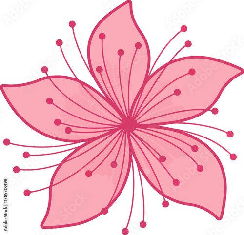 Hand Drawn Pink Cherry Blossom Flower Spring Nature Illustration