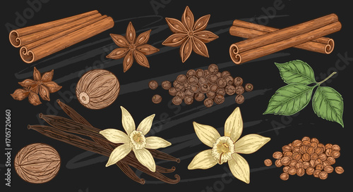 Aromatic Spices Collection Featuring Cinnamon Vanilla Nutmeg Star Anise and Peppercorns.