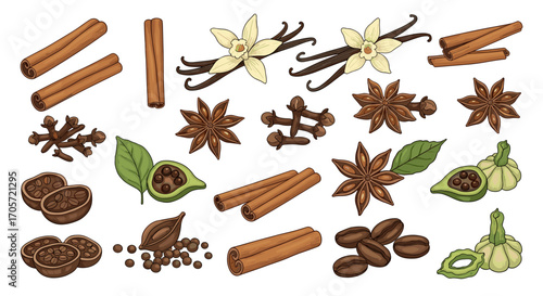 Collection of Spices and Herbs for Cooking and Baking.