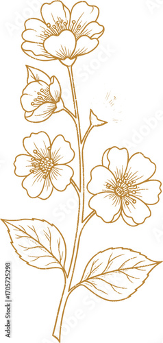 Elegant Floral Branch Illustration - Delicate Beauty