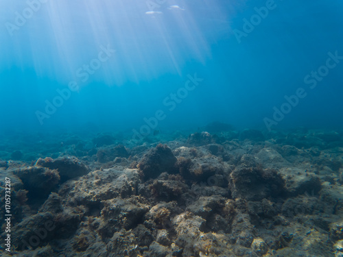 Obraz na plátne Beautiful sun rays stream through the deep blue ocean, illuminating the rocky seabed in this serene and quiet underwater background
