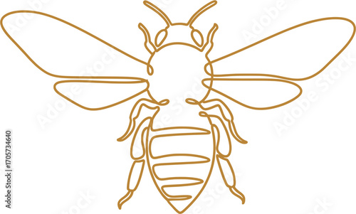 Elegant Bee: Continuous Line Art