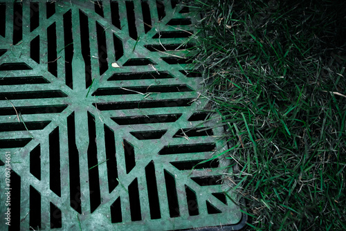 Cuadro en lienzo a storm drain installed next to grass, also known as a catch basin or yard drain