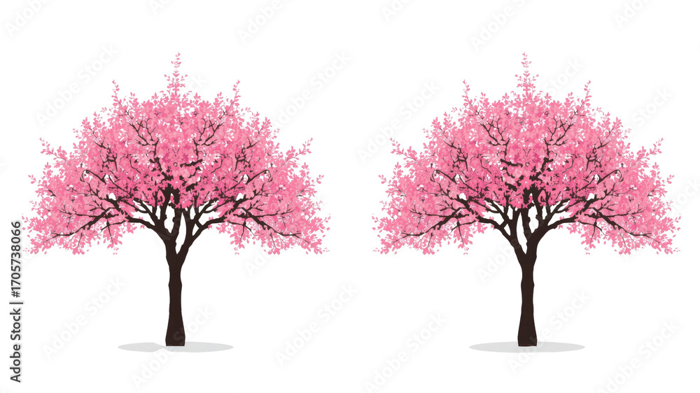 Obraz premium Pair of Blooming Pink Cherry Blossom Trees, Springtime Nature Illustration