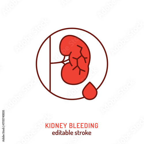 Vector icon of kidney bleeding with blood drop.