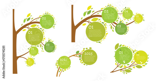 Vector infographic with green tree branches and circles for data visualization.