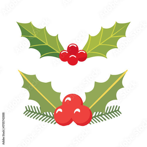 A festive collection of Christmas holly sprigs with vibrant red berries, perfect for holiday decorations, greeting cards, and seasonal garnish vector illustrations