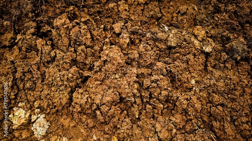 Photos Rich Brown Earth Texture Background for Agriculture and Gardening
