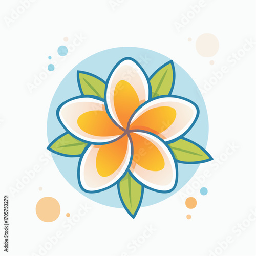 White And Orange Plumeria Flower with Green Leaves on Blue and Beige Background