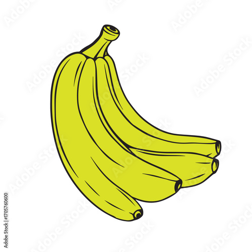 Banana bunch line art vector design concept illustration.