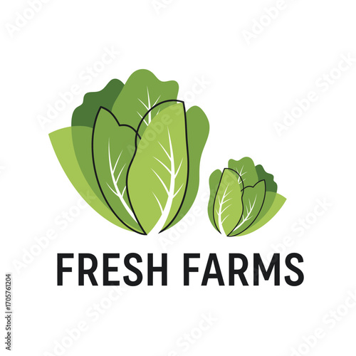  mustard  agriculture farming organic garden fresh food green farm