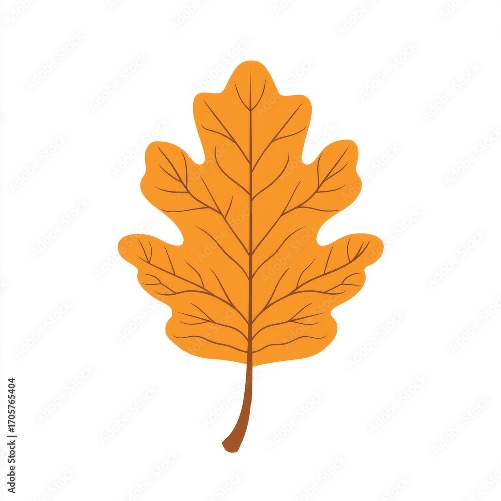Fototapeta premium Autumn reniform leaf illustration fall oak.