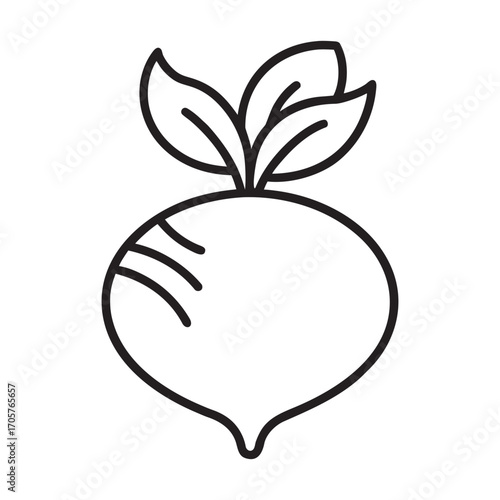 Fresh harvested turnip with green leaves realistic drawing