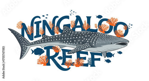 Ningaloo Reef Whale Shark Illustration