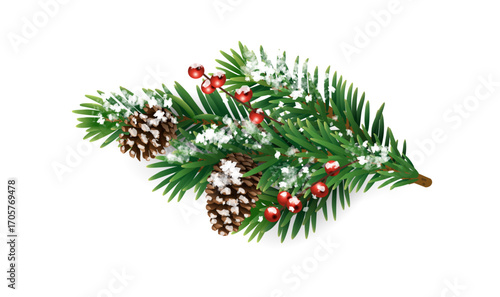Snowy Christmas tree branch with pine cones, and holly berries. Frosty festive design for winter celebration banners, cards, invitations, and seasonal posters. Transparent background in vector file.